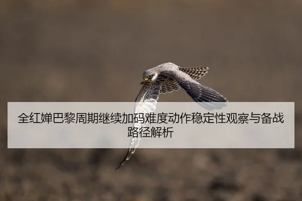 全红婵巴黎周期继续加码难度动作稳定性观察与备战路径解析